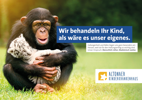 Die Imagekampagne des AKK setzt auf putzige Tiermotive, anstatt rzte oder Patienten zu zeigen (Foto: battery)
