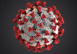 Das Corona-Virus hat lngst die Werbung und erreicht (Foto: CDC / Unsplash.com)