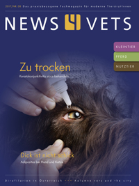 Cover 'news4vets' (Foto: Schltersche)